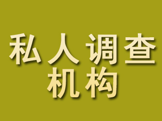 突泉私人调查机构