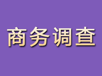 突泉商务调查